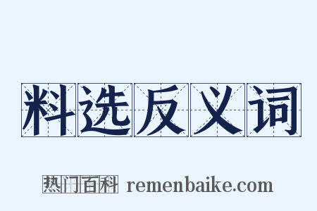 料选反义词是什么意思的图片